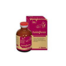 aminowan-100ml-injection