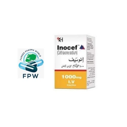 inocef-1-g-injection
