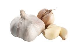 garlic